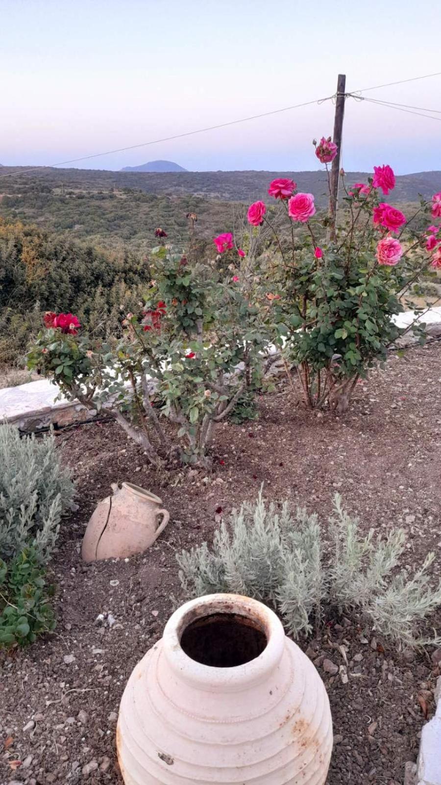 Villa Tsipouras House Kýthira Exterior foto